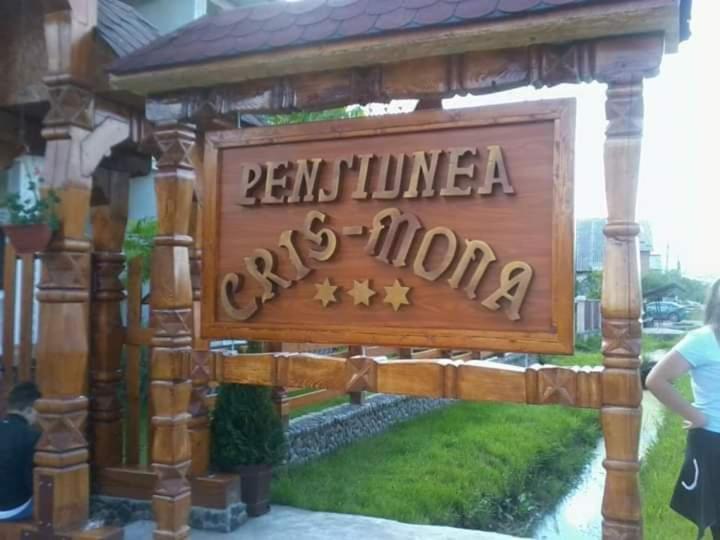 Cris & Mona Hotel Sapinta Exterior photo