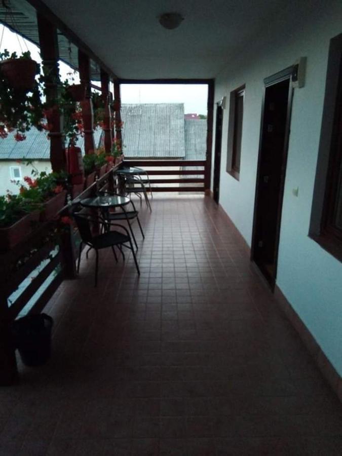 Cris & Mona Hotel Sapinta Exterior photo