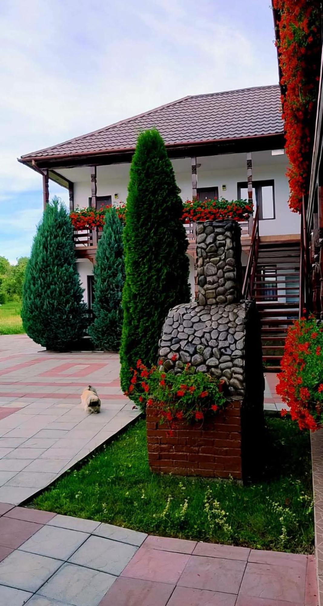Cris & Mona Hotel Sapinta Exterior photo