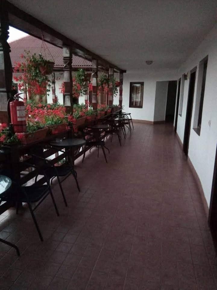 Cris & Mona Hotel Sapinta Exterior photo